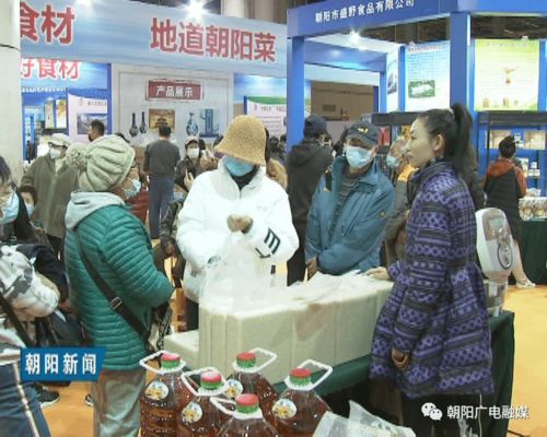 2020朝陽（大連）農(nóng)產(chǎn)品展銷及經(jīng)貿(mào)洽談會(huì)圓滿收官，譜寫區(qū)域合作新篇章